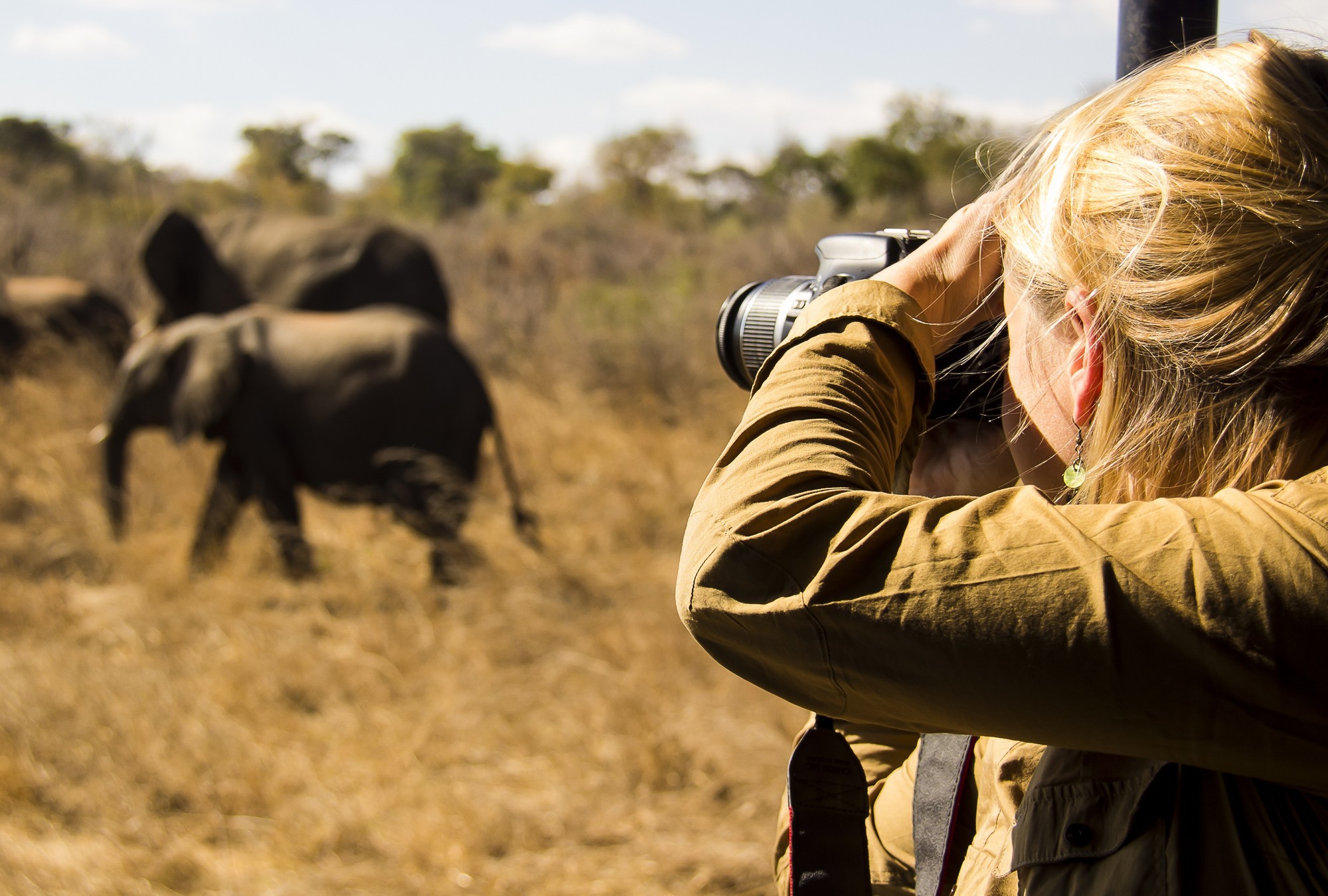 Safaribando Tanzania Safaris Kilimanjaro Climbs