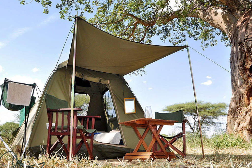 Budget-Friendly Tanzania Camping Safaris: Adventure Without Compromise