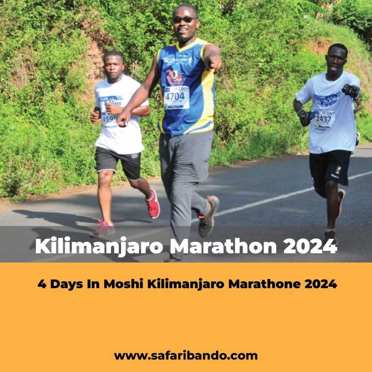 Kilimanjaro Marathon 2024 4 Days in Moshi SafariBando