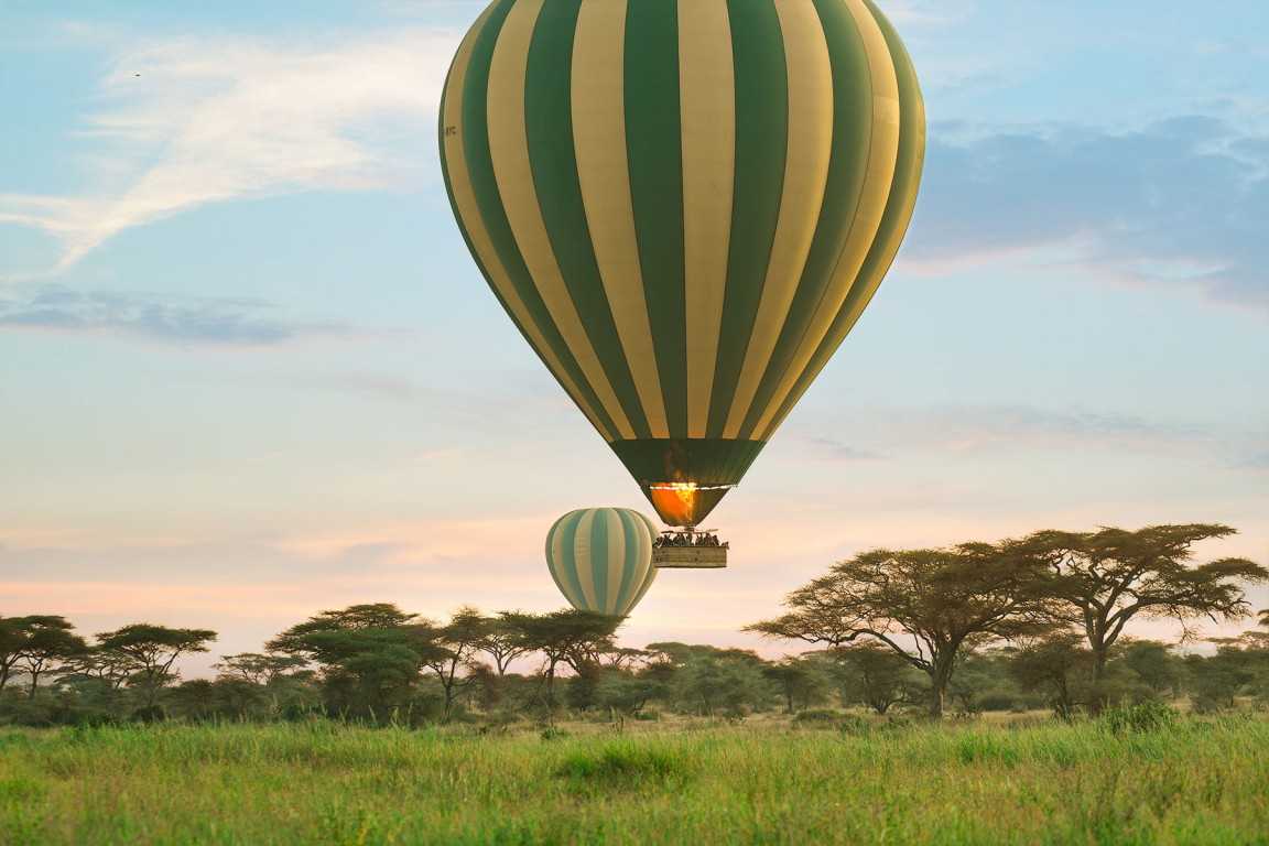 How Finding an Affordable Tanzania Safari