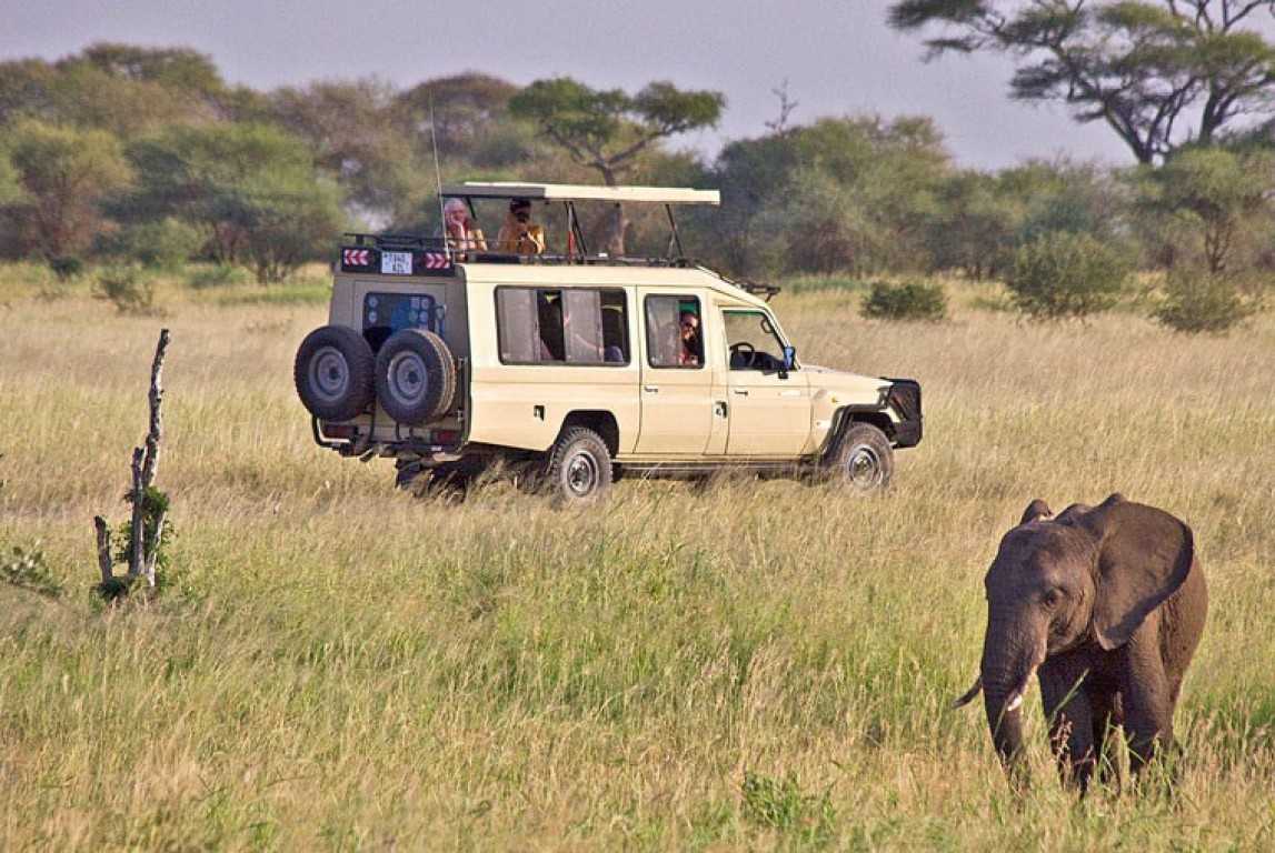 How much does safari cost in Tanzania?