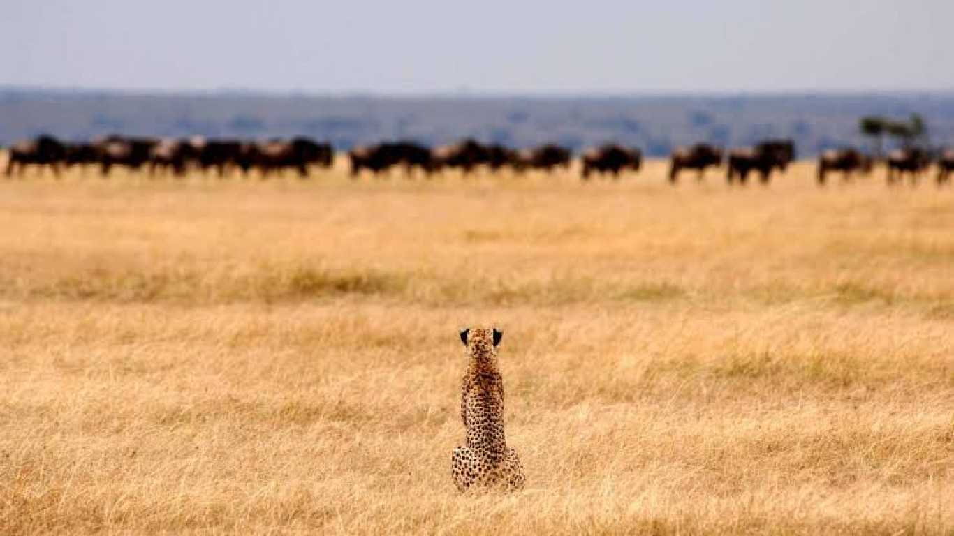 What is the best time to go on safari in Tanzania