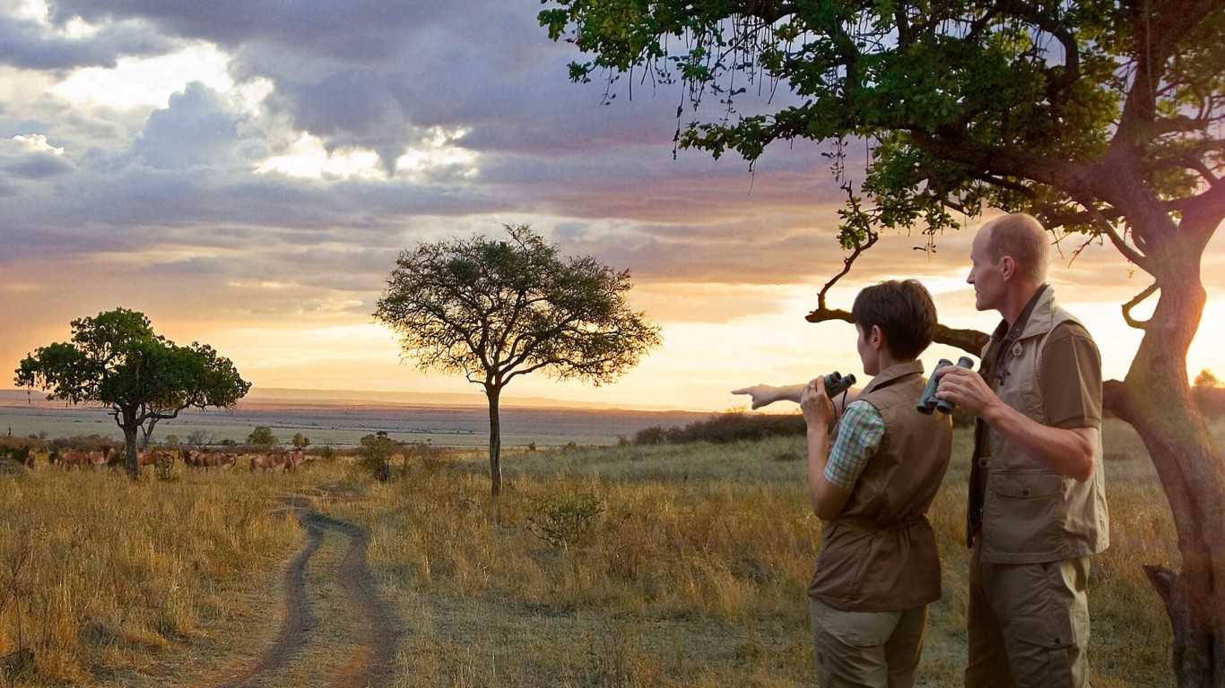 When to go on a honeymoon safari in Tanzania?