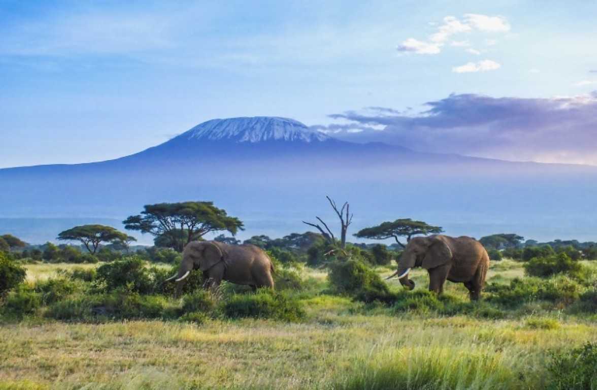 The Kilimanjaro Climb: What You Need to Know