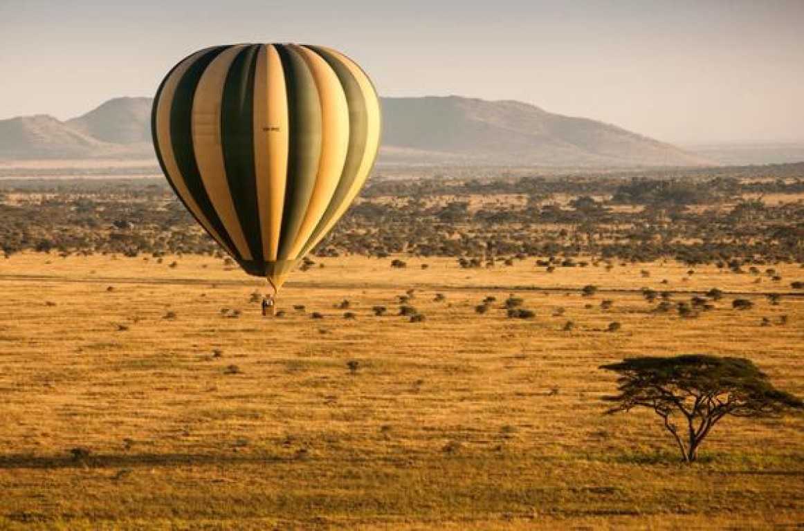 Tanzania Safari Serengeti – Check Out The Best Tours For Your Next Trip