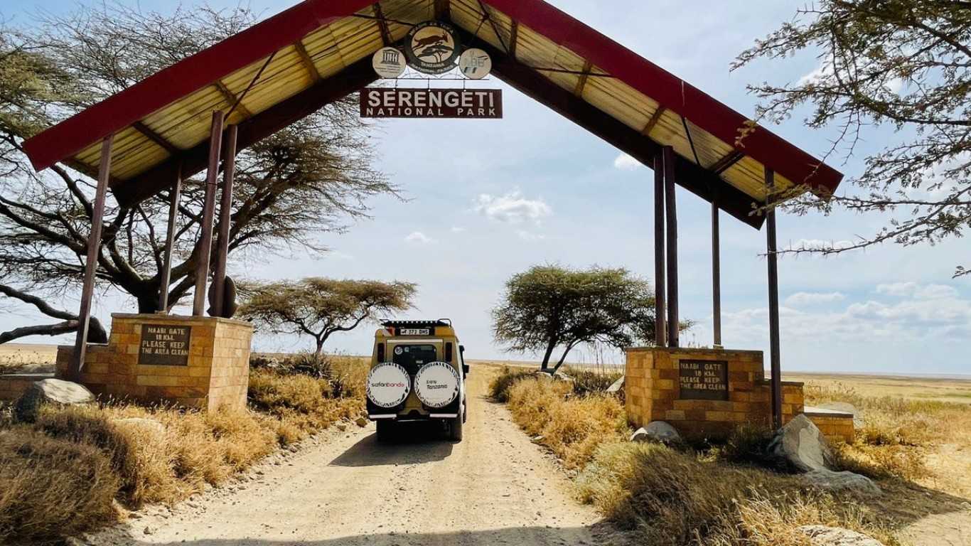 How To Book A Safari In Tanzania, 10 Steps In Planning Your Visit