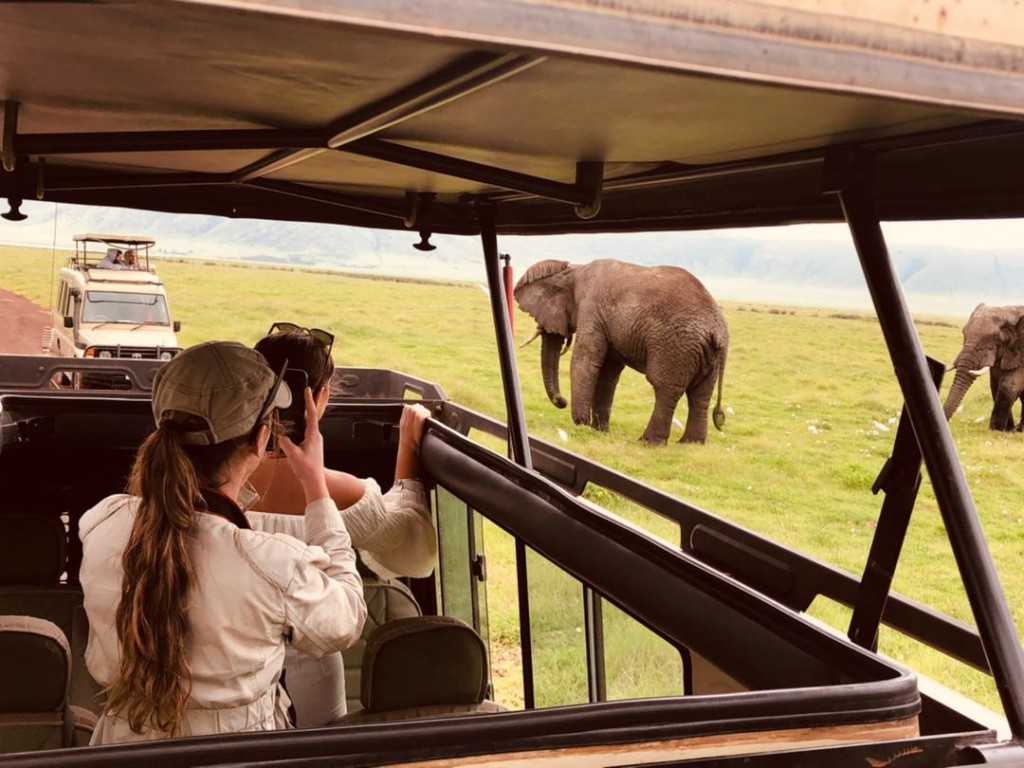 How much does a budget safari cost in Tanzania?