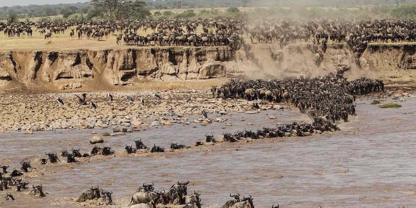 Where you can see the Great Wildebeest Migration