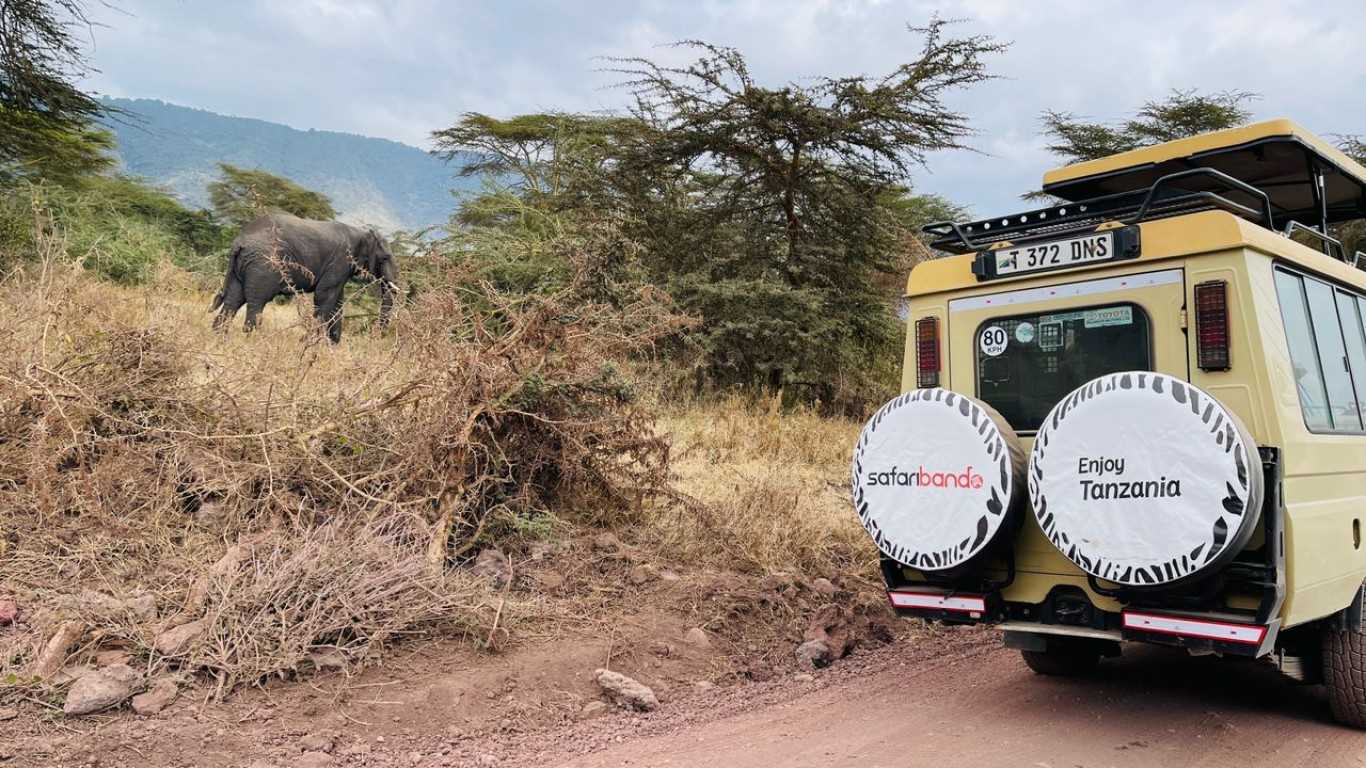 When to visit Tanzania and the cost implications