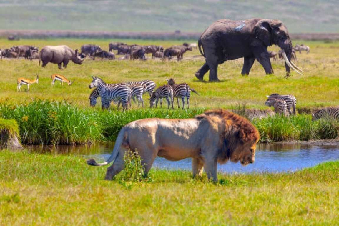 Tanzania a top travel destination in 2023, says US firm