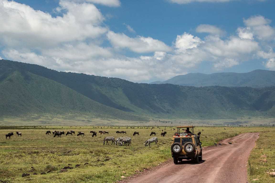 10 Recommended Tanzania Safari Packages - 2023/2024