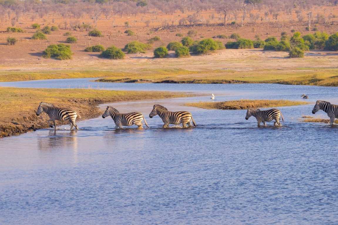 Top 15 Facts About Tanzania That Will Definitely Inspire You To Travel