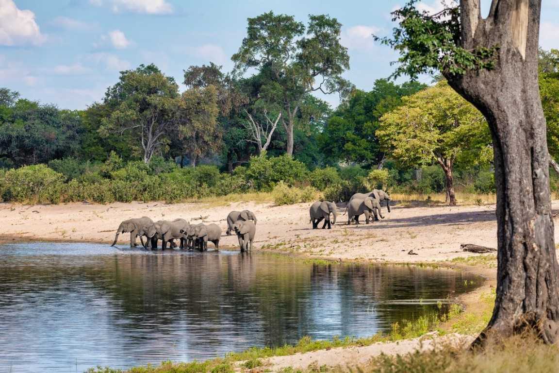 The 12 Best things to do in Tanzania