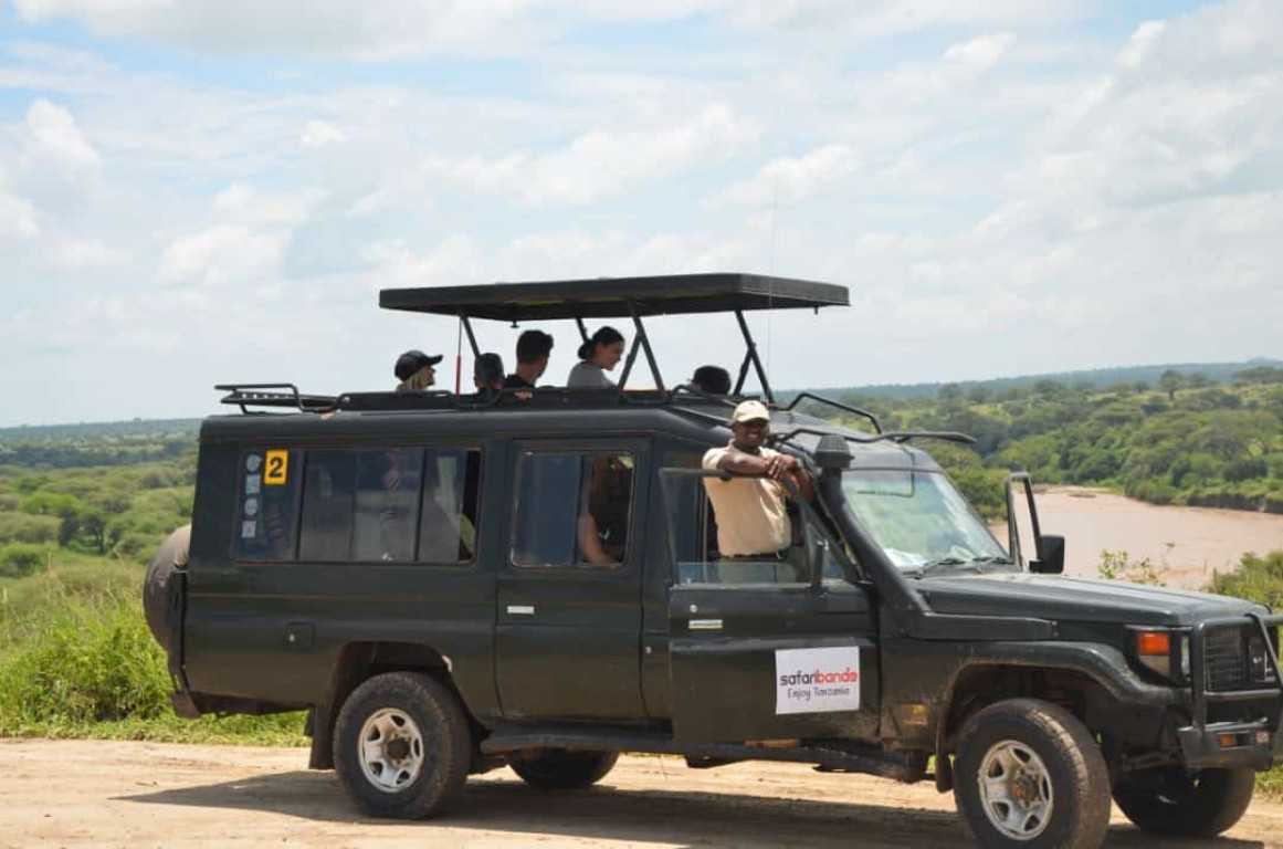 Best Tanzania Safari Tours: Our Top 5 Picks