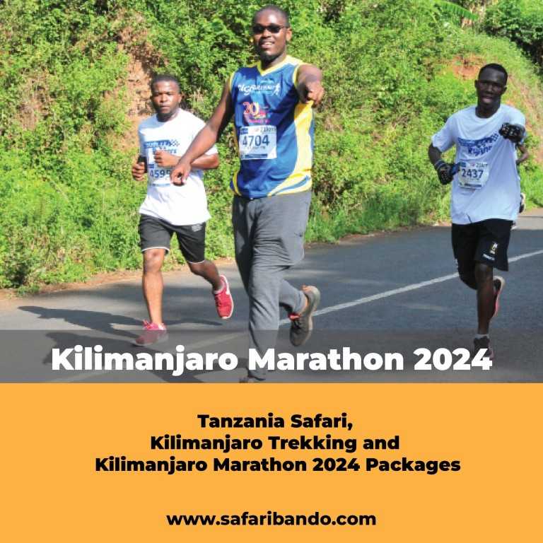 The Ultimate Race Kilimanjaro Marathon 2024 SafariBando