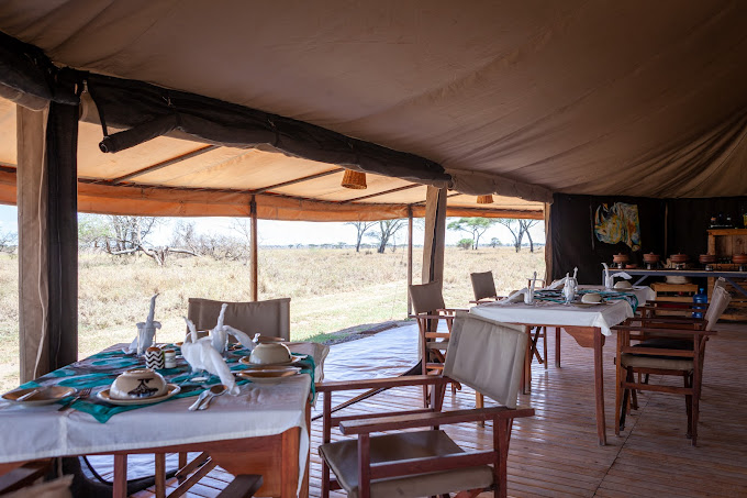 Serengeti Mawe Tented Camp