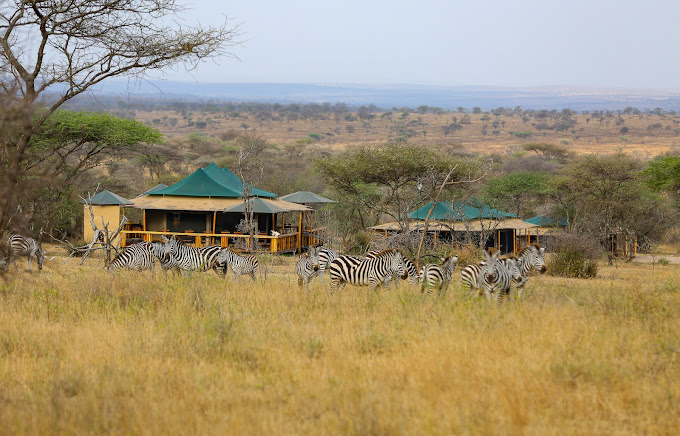 Serengeti Sound of Nature